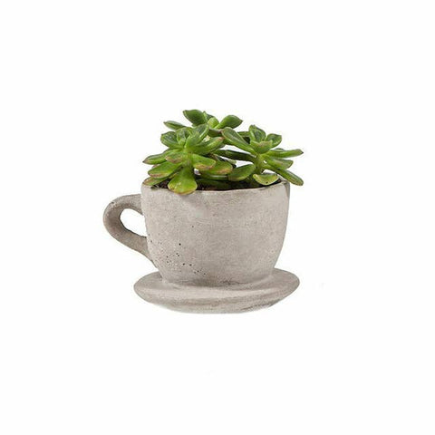 Concrete "Tea & Coffee" Cup Planter