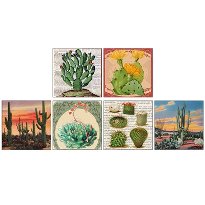 Desert Beauty Square Matchbox