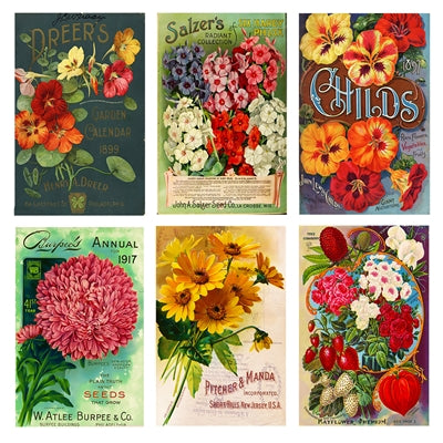 Vintage Seeds Mini Matchboxes