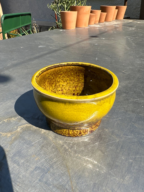 Glazed Ming Pot