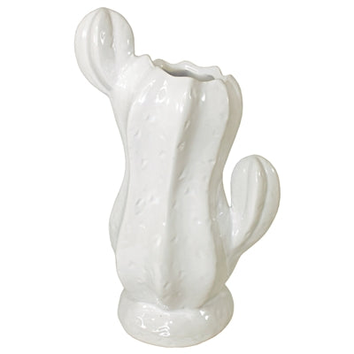 Desert Snow Cactus Vase