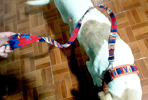 Tribal Pattern Ecuadorian Dog Leash