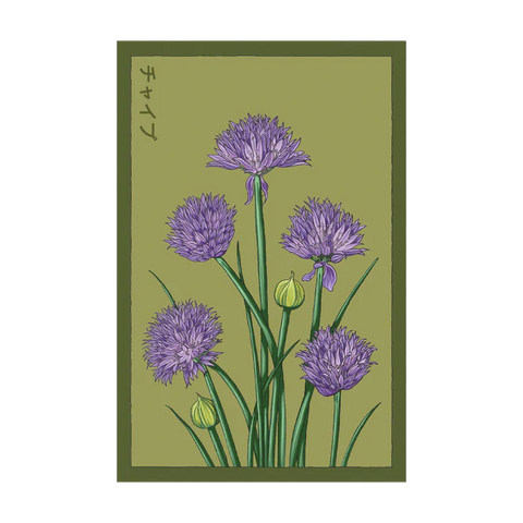 Shido Seed Packets
