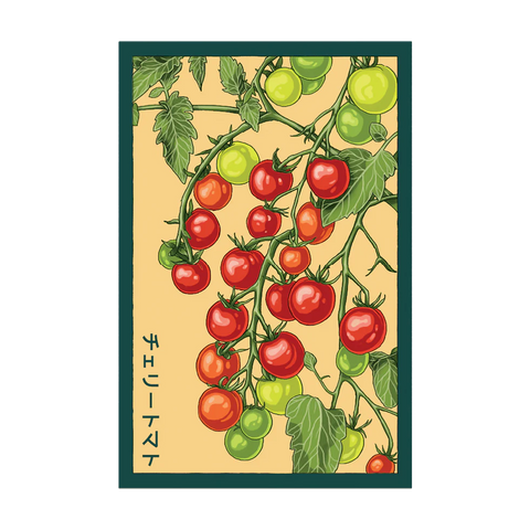 Shido Seed Packets