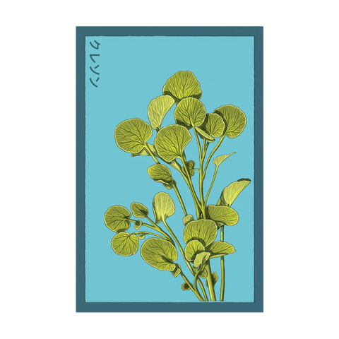 Shido Seed Packets
