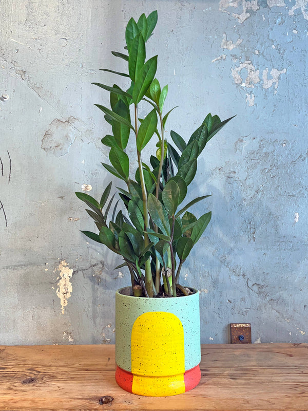 The Betty Portal Planter