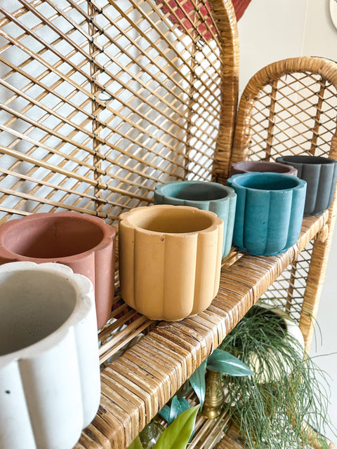 Mini Scalloped Cement Planter