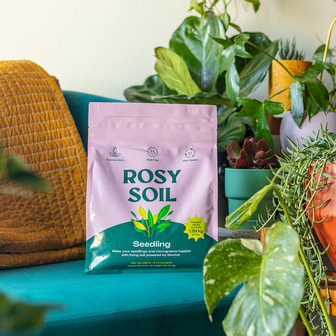 4 Quart Organic Seedling and Propagation mix