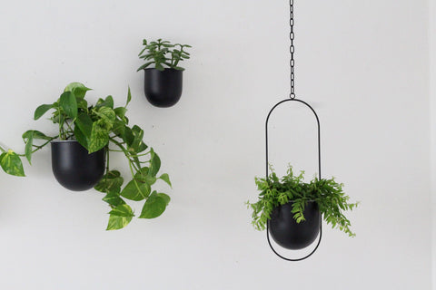 Round Minimalist Metal Wall Planter Pot