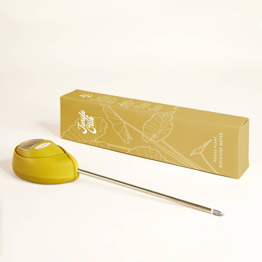 Jungle Club Moisture Meter