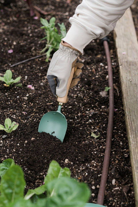 Metal Garden Scoop with Wooden Handle