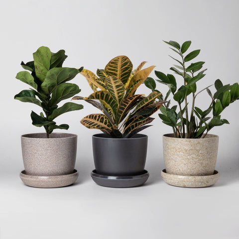 Elemental Mini Pots