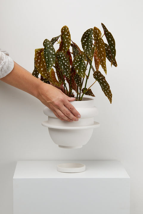 Bud Planter