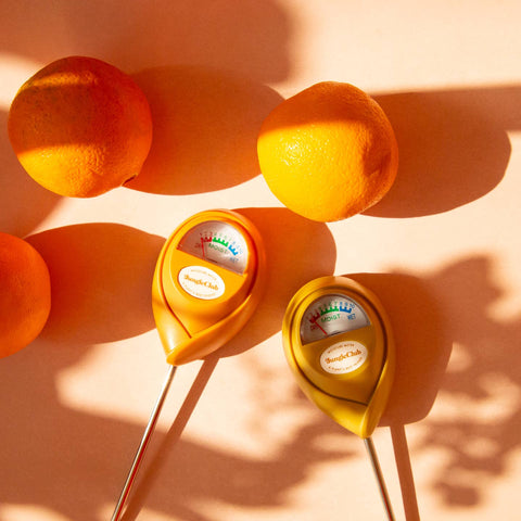 Jungle Club Moisture Meter