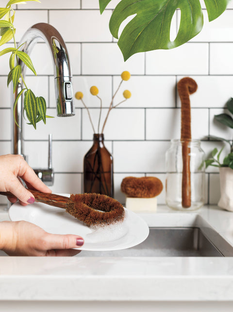 Coconut Fiber Dish Brush