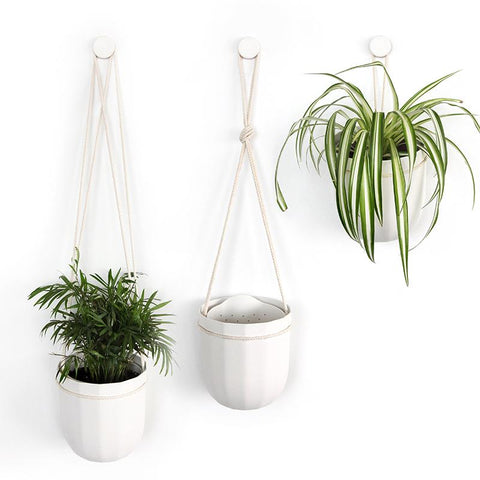 Loop Hanging Planter