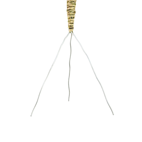 3 Pack Bendable Moss Pole™ 𝘛𝘏𝘐𝘕