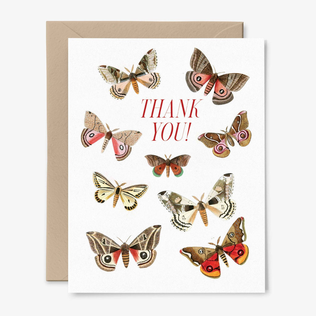 Thank You Butterfly Card