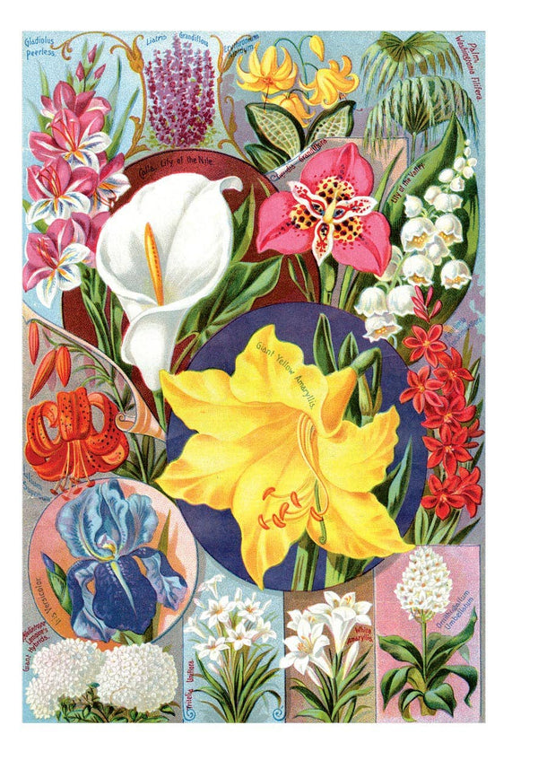 Spring Flowers - Blank Card