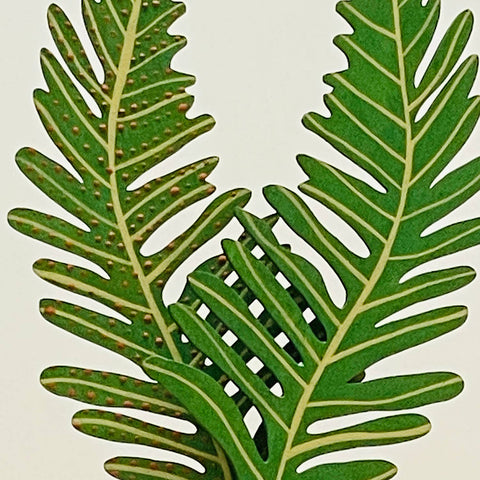 Fern Frond Forever Flower