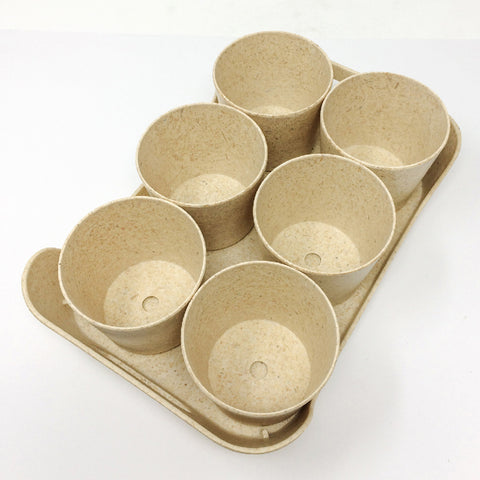 Sustainable Eco-Planter Herb Pot with Tray - Set of 6