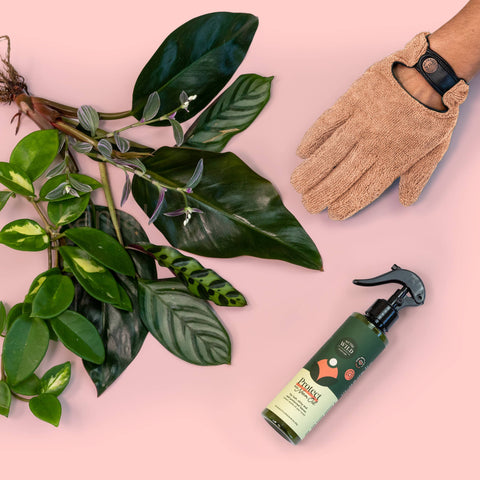 Microfiber Leaf Cleaning Gloves - Pink
