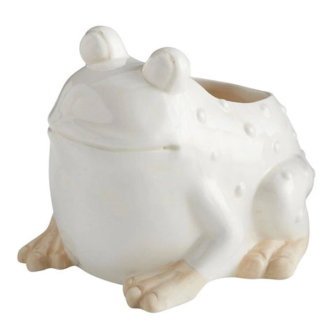 Frog Ceramic Pot