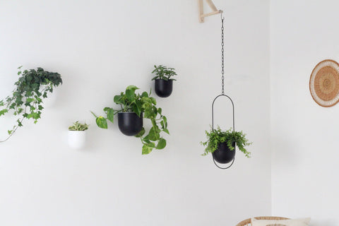 Round Minimalist Metal Wall Planter Pot