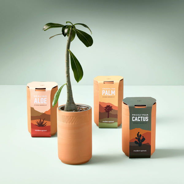 Terracotta Grow Kit