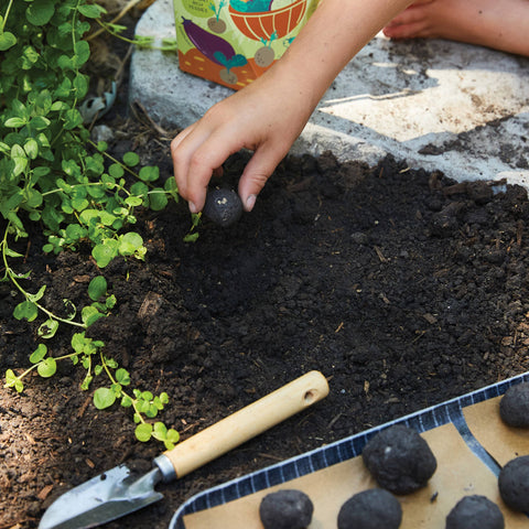 DIY Seed Ball Kit