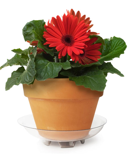 6" Floor Guard Recycled Saucer