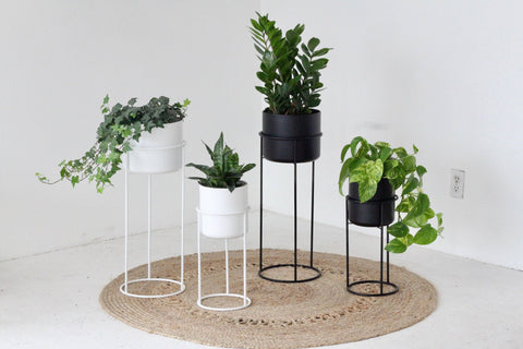 Modern Metal Plant Stand