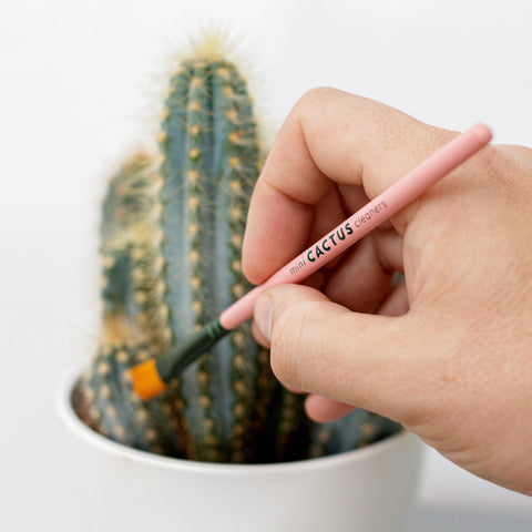 Mini Cactus Cleaner Brushes