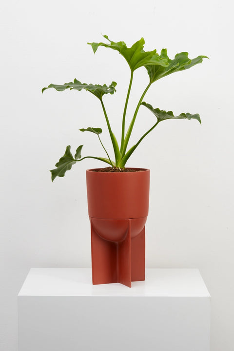 Tall Eros Planter