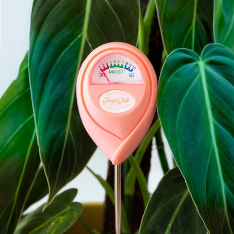 Jungle Club Moisture Meter