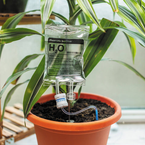 watering systems for potted plants Plant Life Support Houseplant Watering Device – Potted