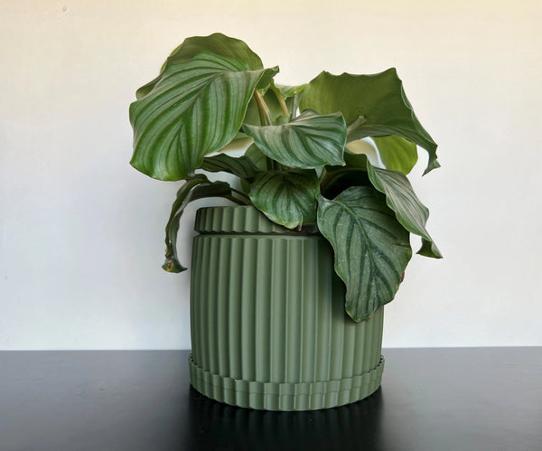 Solah Barrel Lightweight Planter Pot with Drip Tray