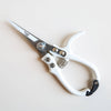 Pruning Shears