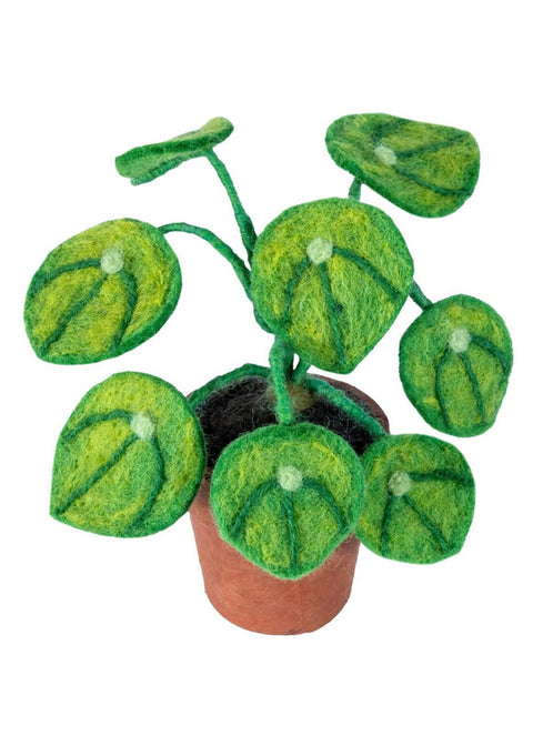 Felt Money Plant