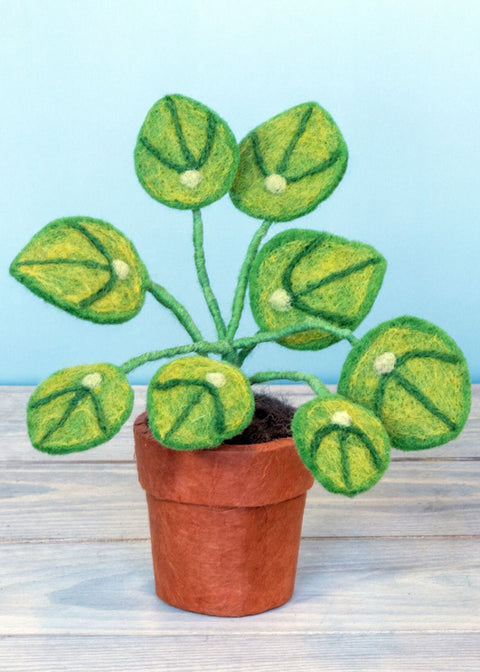 Felt Money Plant