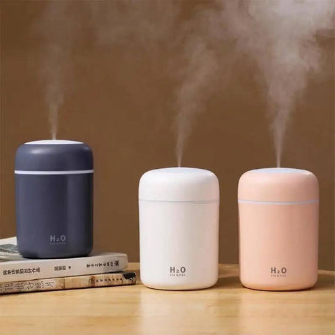 Small Plant Humidifier