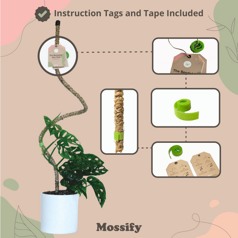 Original Bendable Coir Pole™ - Climbing Plants
