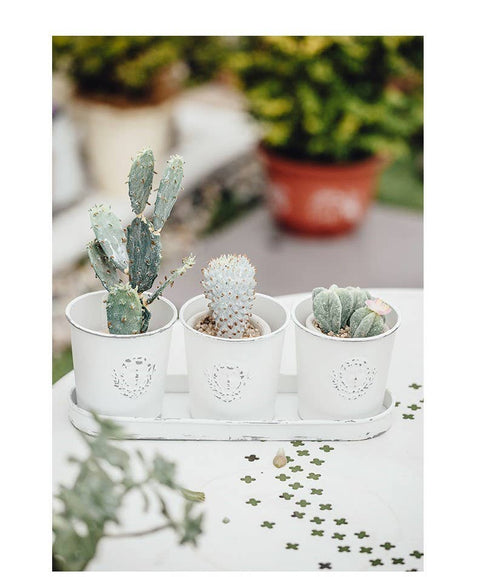 Metal Decorative Flower Pots - 3 Pots with 1 Tray