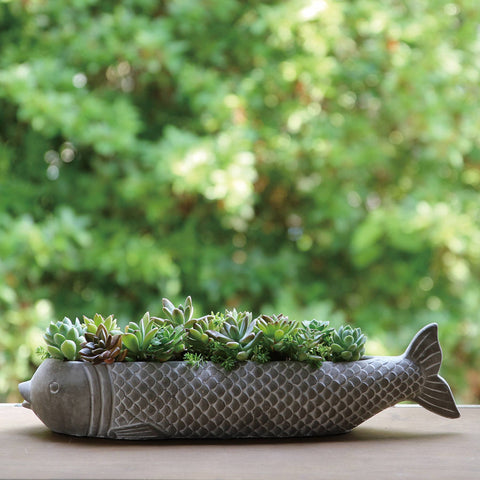 Koi Planter