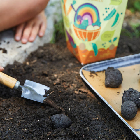 DIY Seed Ball Kit