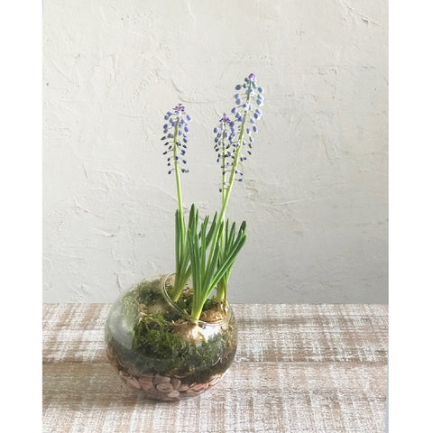 Bulb Vase