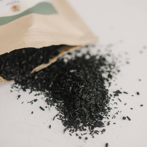 Horticultural Charcoal Biochar for Houseplants & Terrariums