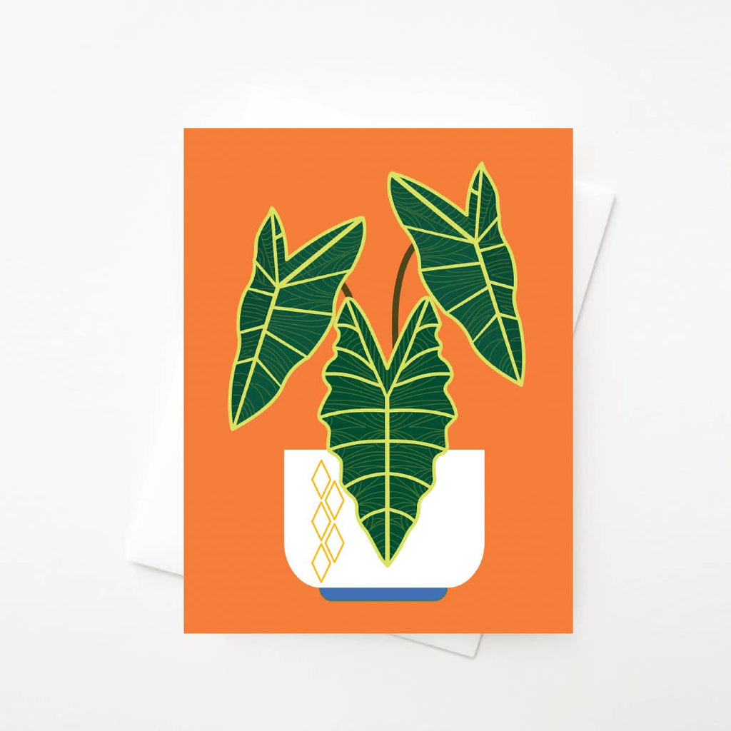 Alocasia Amazonica Card