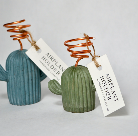 Small Cactus Airplant Holder