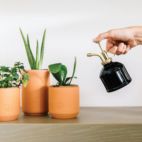Plant Mister